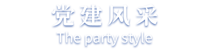 党建风采标签